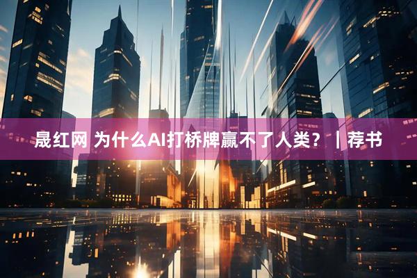 晟红网 为什么AI打桥牌赢不了人类？｜荐书
