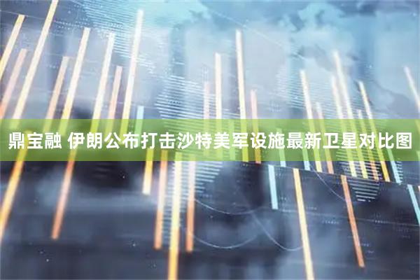 鼎宝融 伊朗公布打击沙特美军设施最新卫星对比图